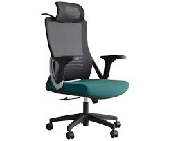 Ergonomic Office Chair