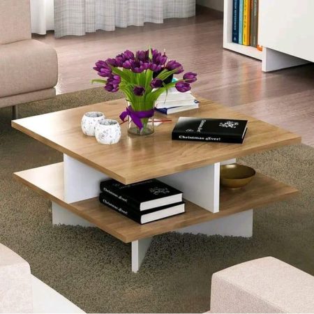 Hamilton Modern Design Coffee Table With Storage